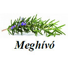 meghívó